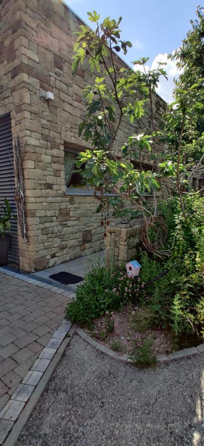 فيلا Agritur Leita توينو المظهر الخارجي الصورة