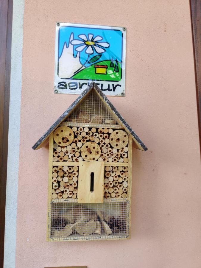 فيلا Agritur Leita توينو المظهر الخارجي الصورة