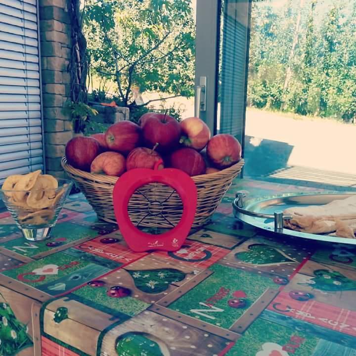 فيلا Agritur Leita توينو المظهر الخارجي الصورة