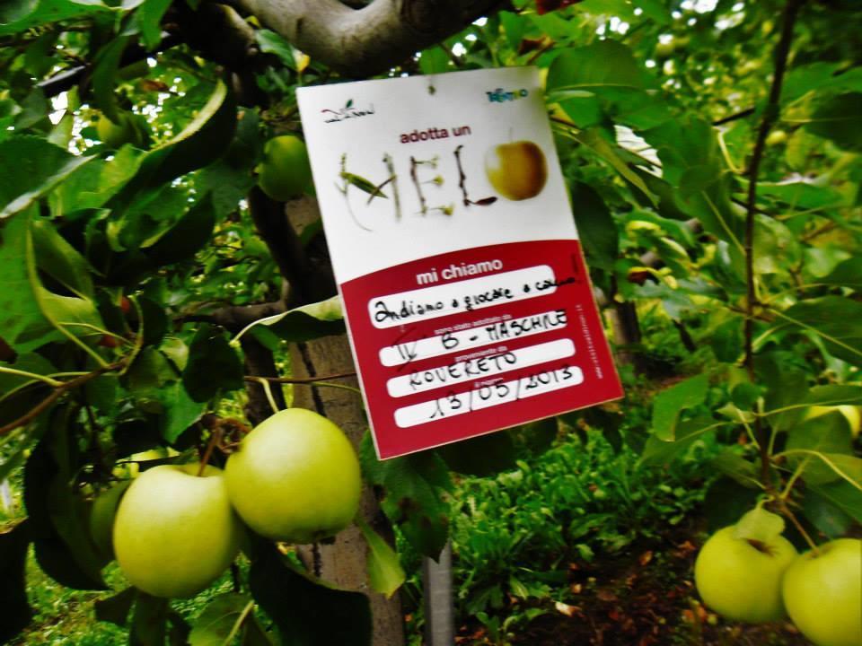 فيلا Agritur Leita توينو المظهر الخارجي الصورة
