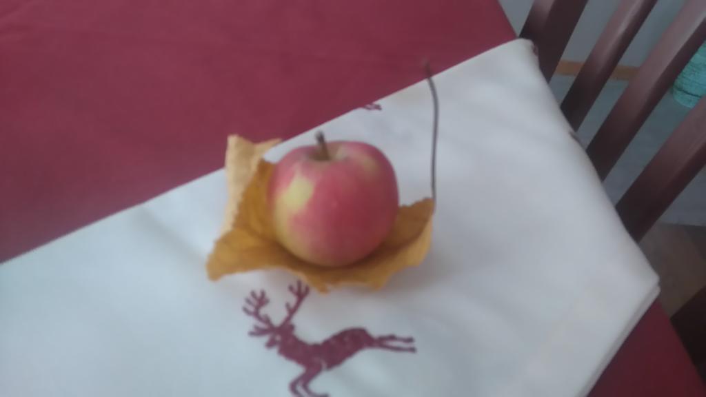 فيلا Agritur Leita توينو المظهر الخارجي الصورة